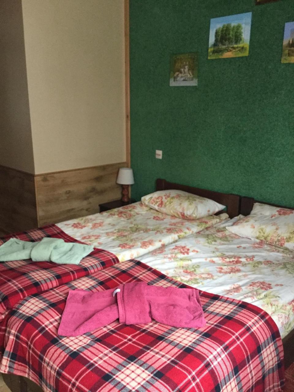 Hôtel Sadibe Oberig à Skhidnytsia Extérieur photo